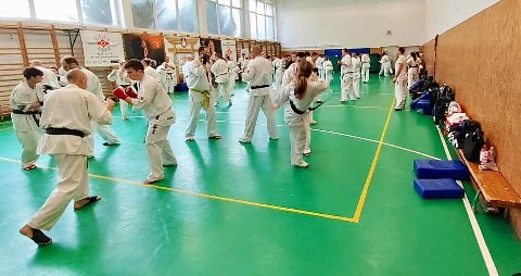 Szeminárium Sensei Rózsa Gáborral a Seishin Dójóban