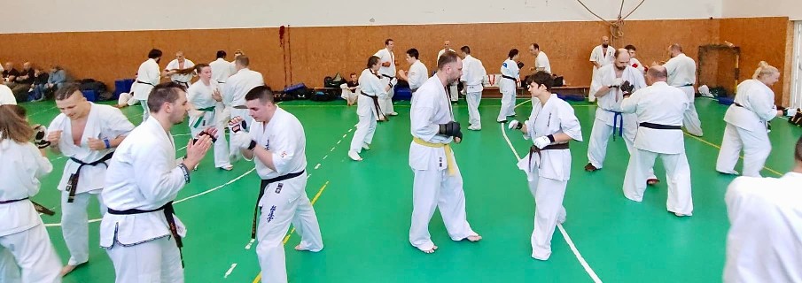 Szeminárium Sensei Rózsa Gáborral a Seishin Dójóban