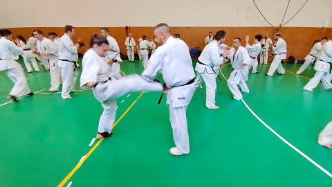 Szeminárium Sensei Rózsa Gáborral a Seishin Dójóban