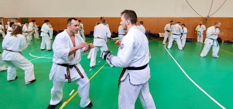 Szeminárium Sensei Rózsa Gáborral a Seishin Dójóban