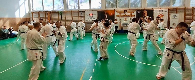 Szeminárium Sensei Rózsa Gáborral a Seishin Dójóban