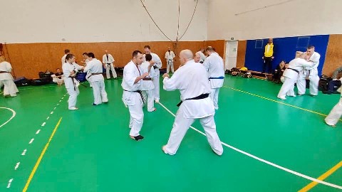 Szeminárium Sensei Rózsa Gáborral a Seishin Dójóban