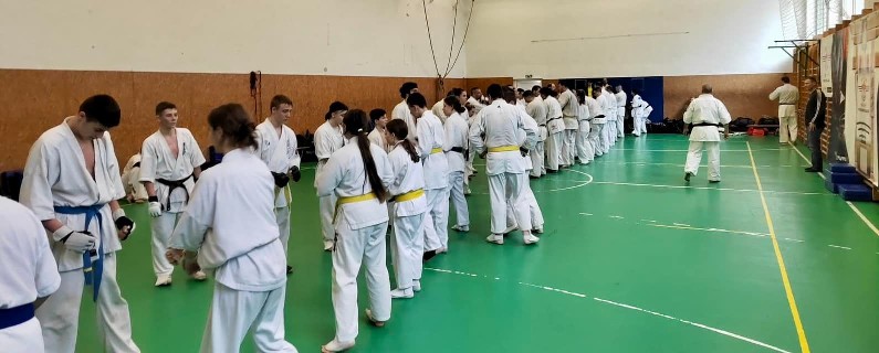 Szeminárium Sensei Rózsa Gáborral a Seishin Dójóban