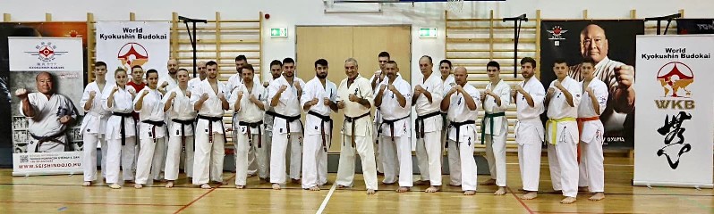 Shihan Sergei Vsevolodov Szeminárium