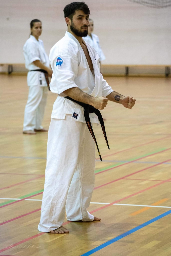 Shihan Sergei Vsevolodov Szeminárium