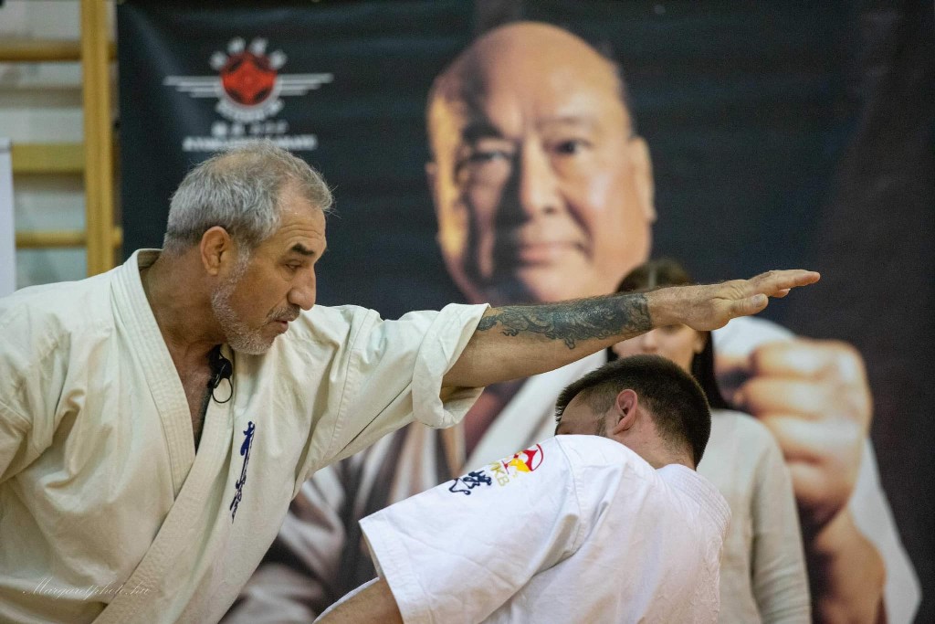 Shihan Sergei Vsevolodov Szeminárium