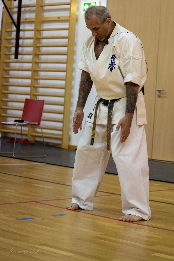 Shihan Sergei Vsevolodov Szeminárium