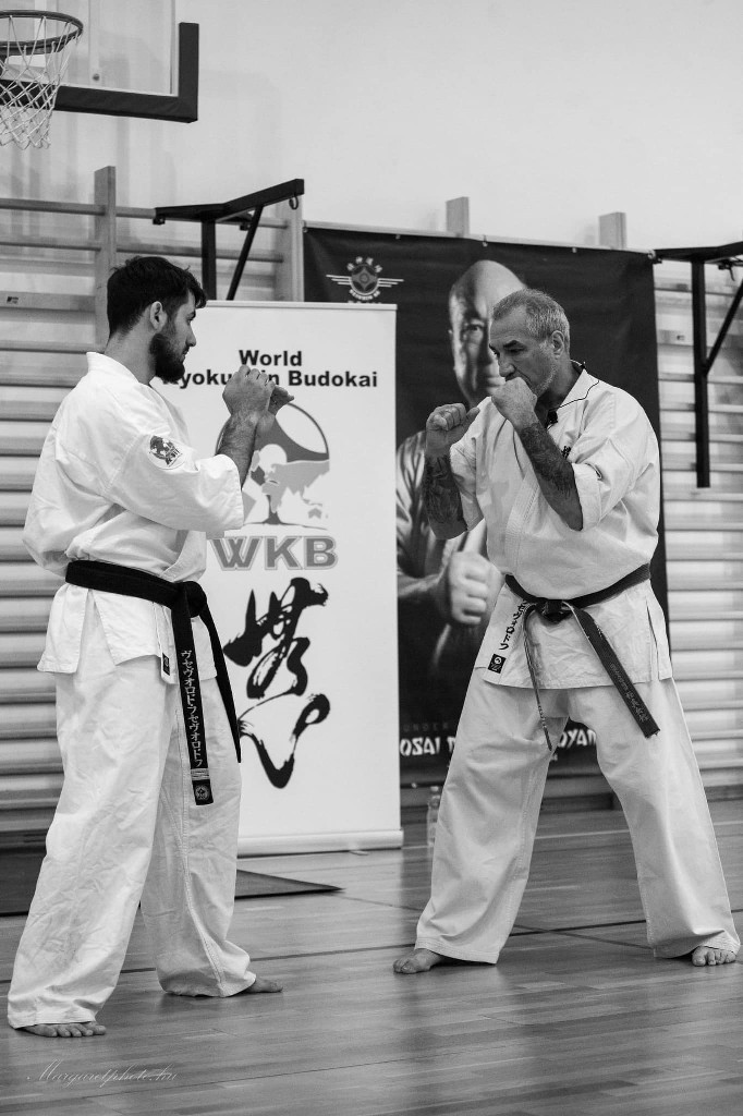 Shihan Sergei Vsevolodov Szeminárium