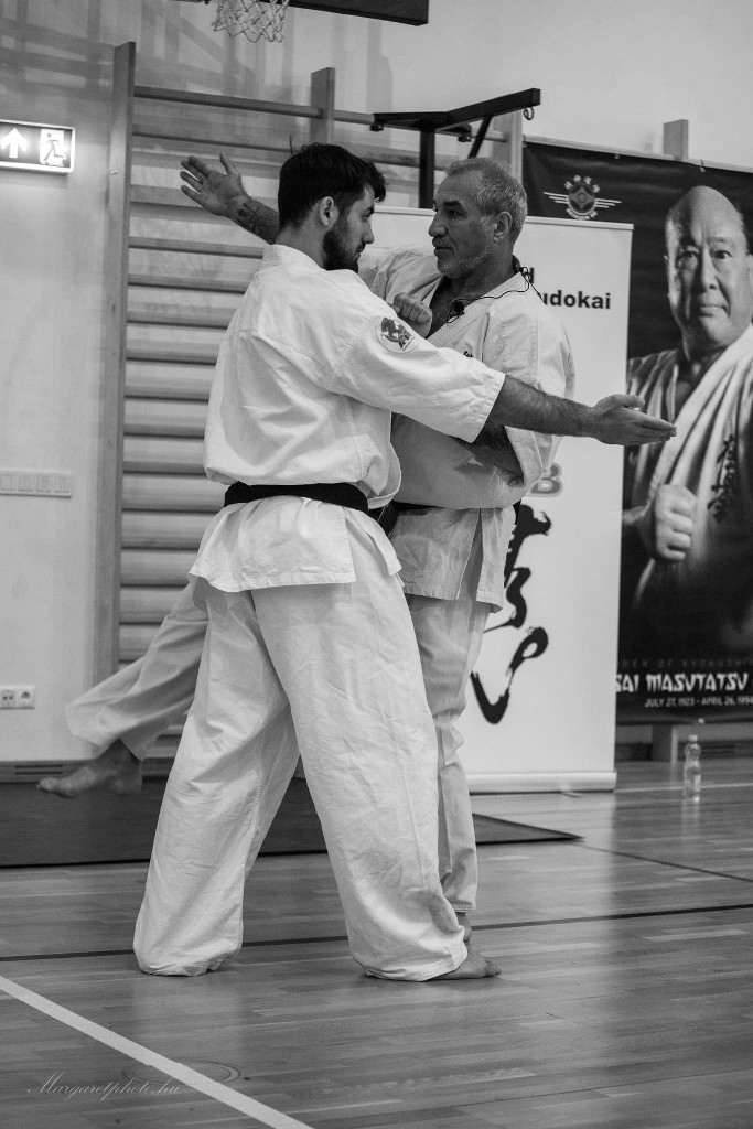 Shihan Sergei Vsevolodov Szeminárium
