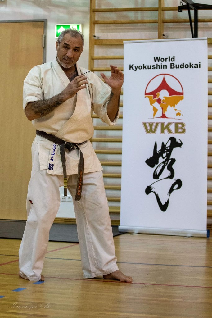 Shihan Sergei Vsevolodov Szeminárium