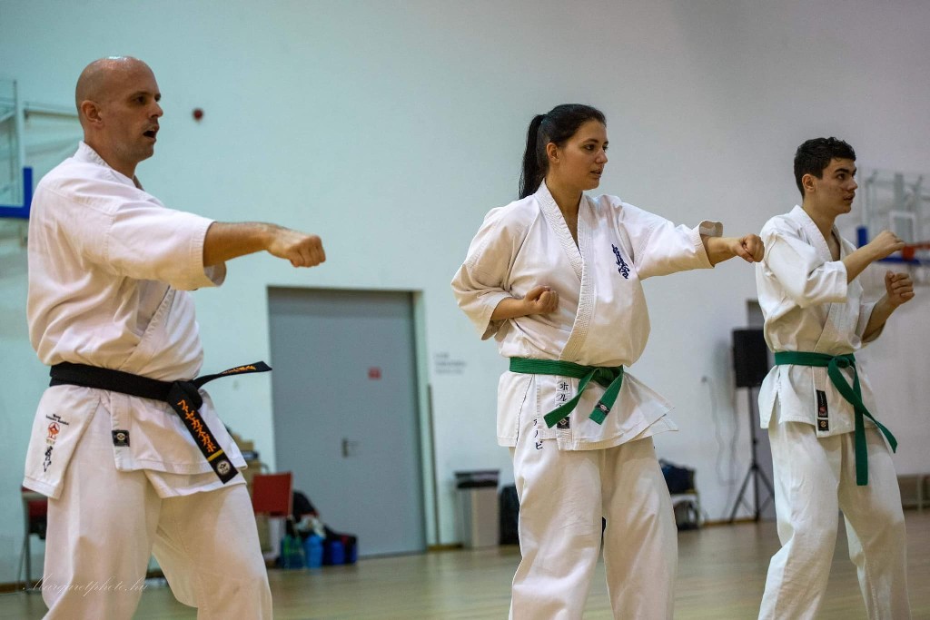 Shihan Sergei Vsevolodov Szeminárium