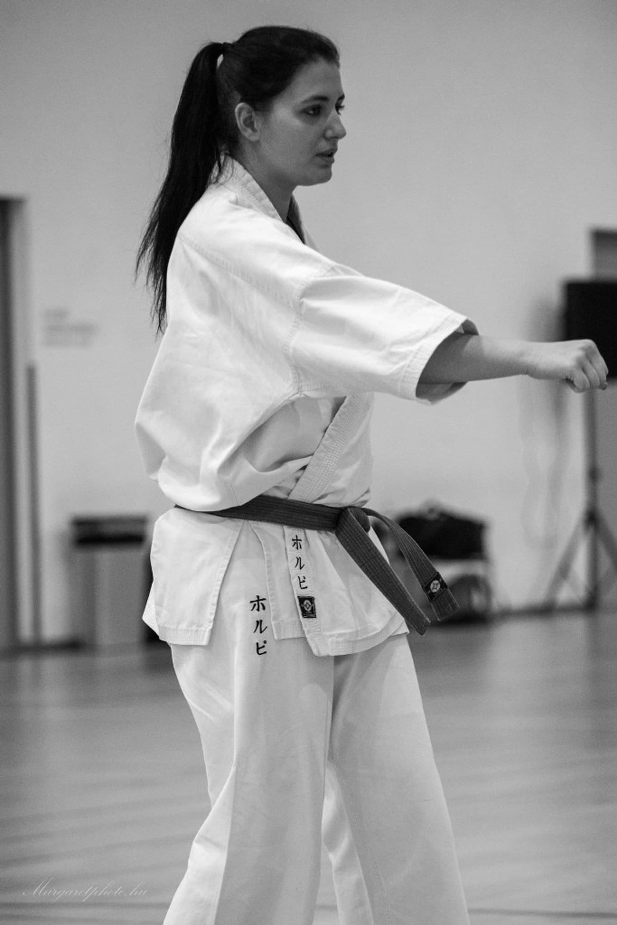 Shihan Sergei Vsevolodov Szeminárium