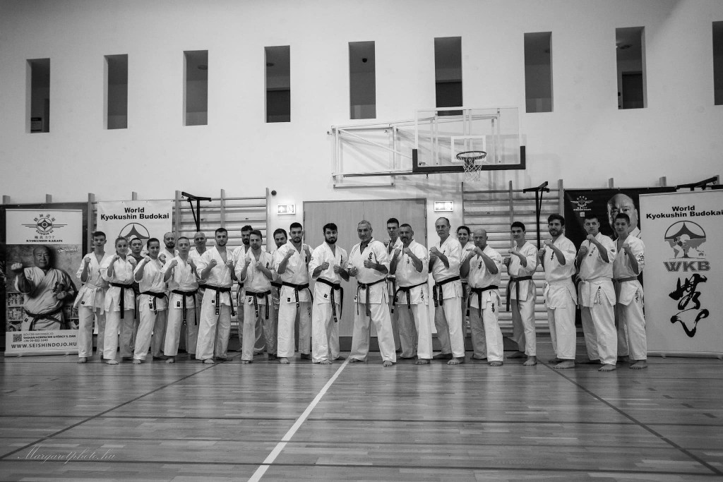 Shihan Sergei Vsevolodov Szeminárium