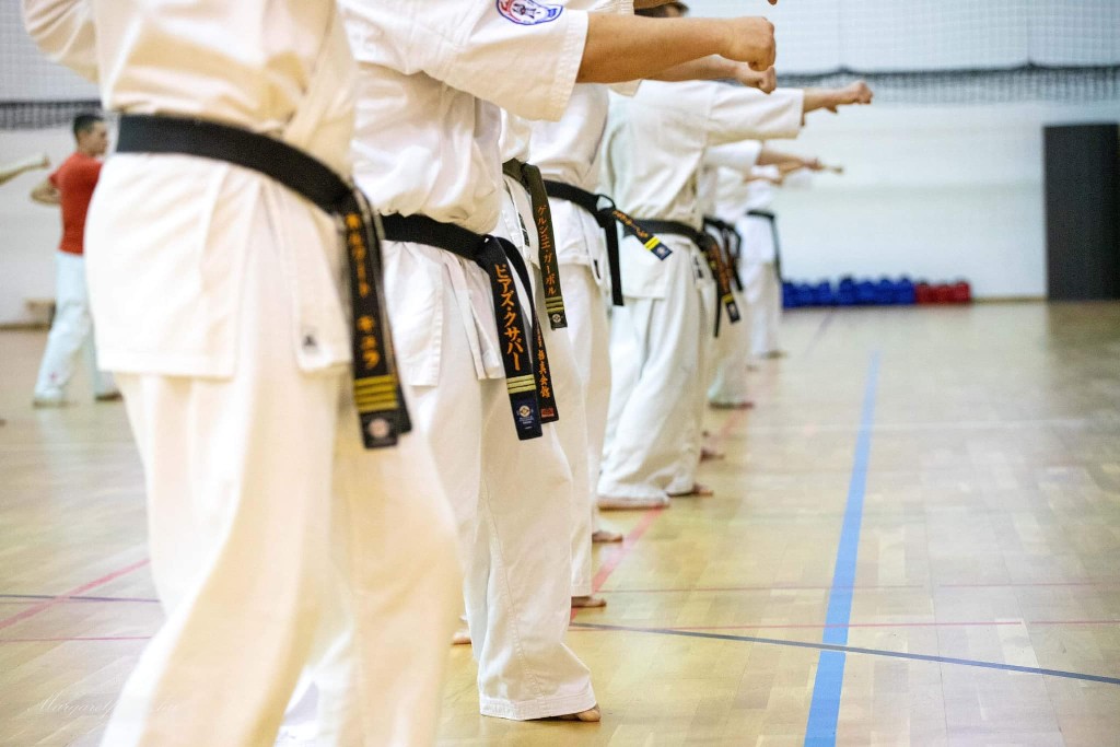 Shihan Sergei Vsevolodov Szeminárium