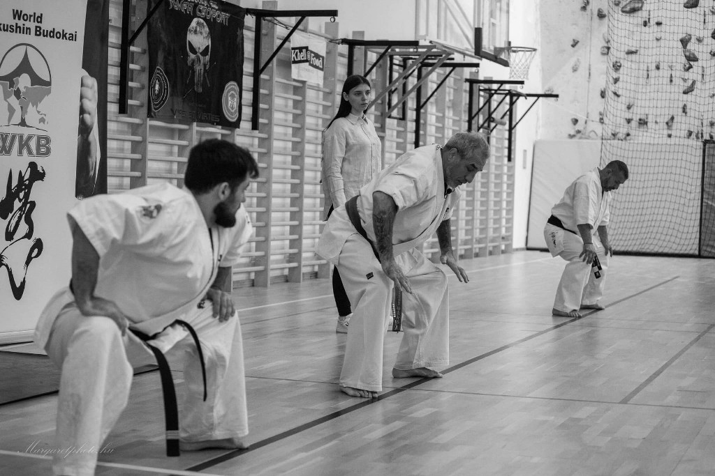 Shihan Sergei Vsevolodov Szeminárium