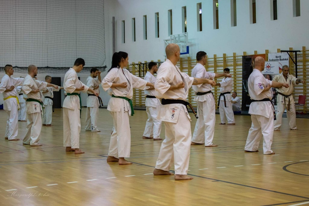 Shihan Sergei Vsevolodov Szeminárium