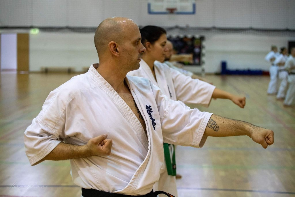 Shihan Sergei Vsevolodov Szeminárium