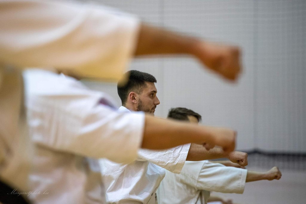 Shihan Sergei Vsevolodov Szeminárium