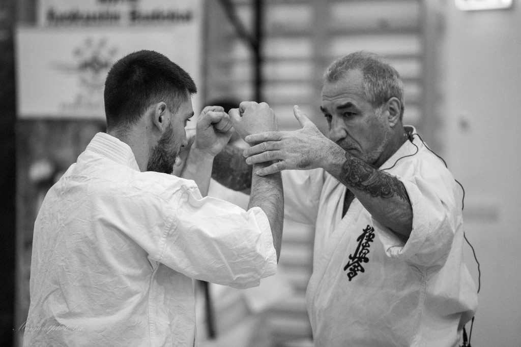 Shihan Sergei Vsevolodov Szeminárium