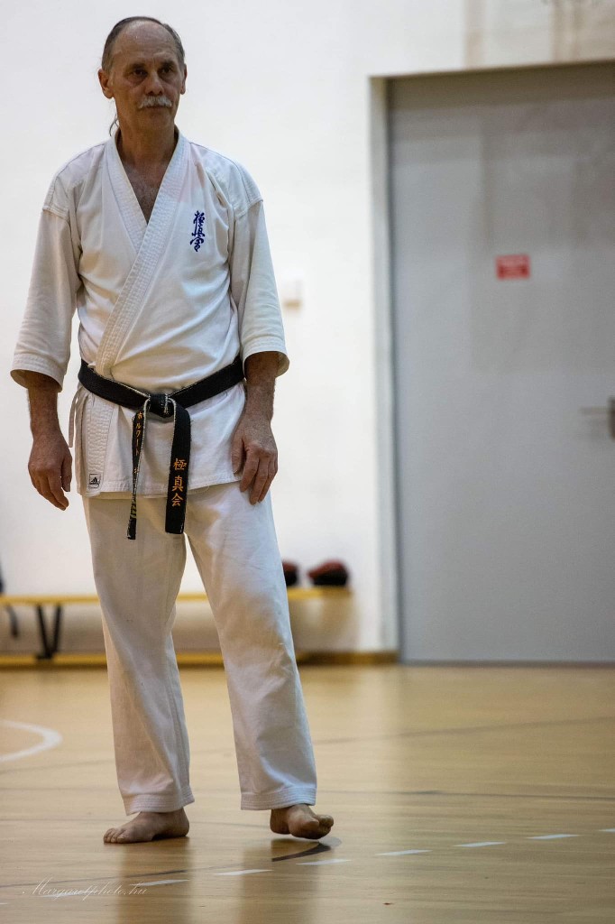 Shihan Sergei Vsevolodov Szeminárium