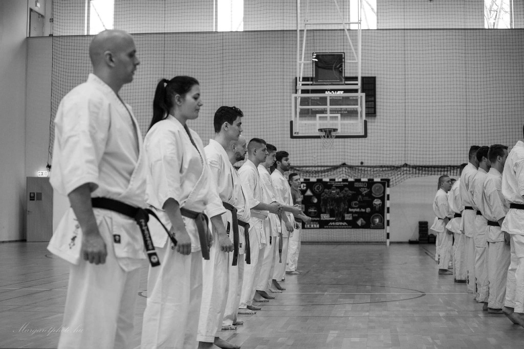 Shihan Sergei Vsevolodov Szeminárium