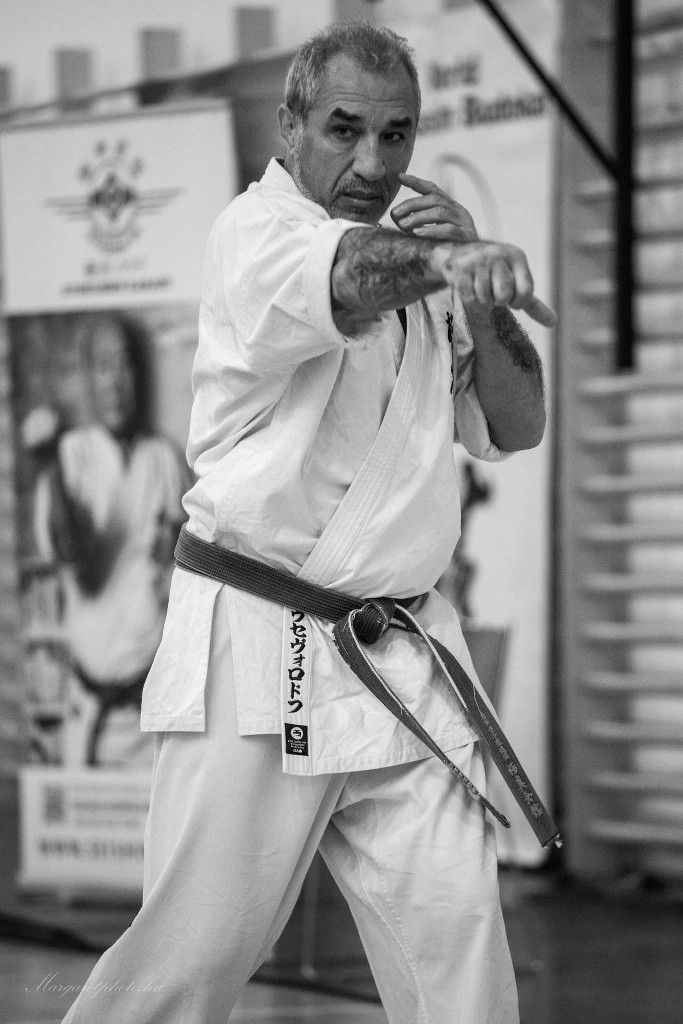 Shihan Sergei Vsevolodov Szeminárium