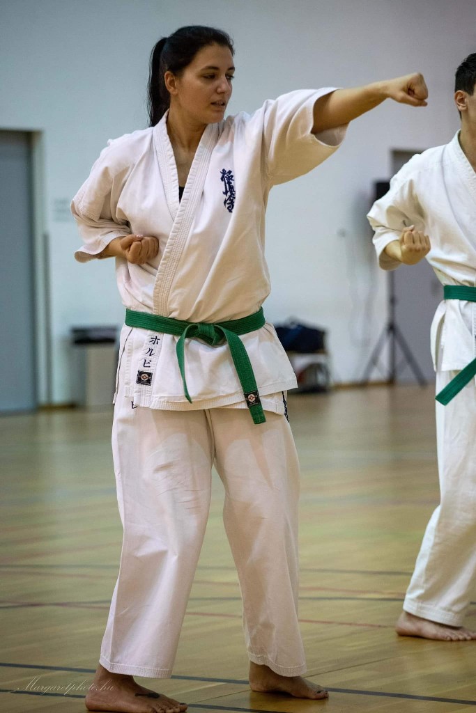 Shihan Sergei Vsevolodov Szeminárium