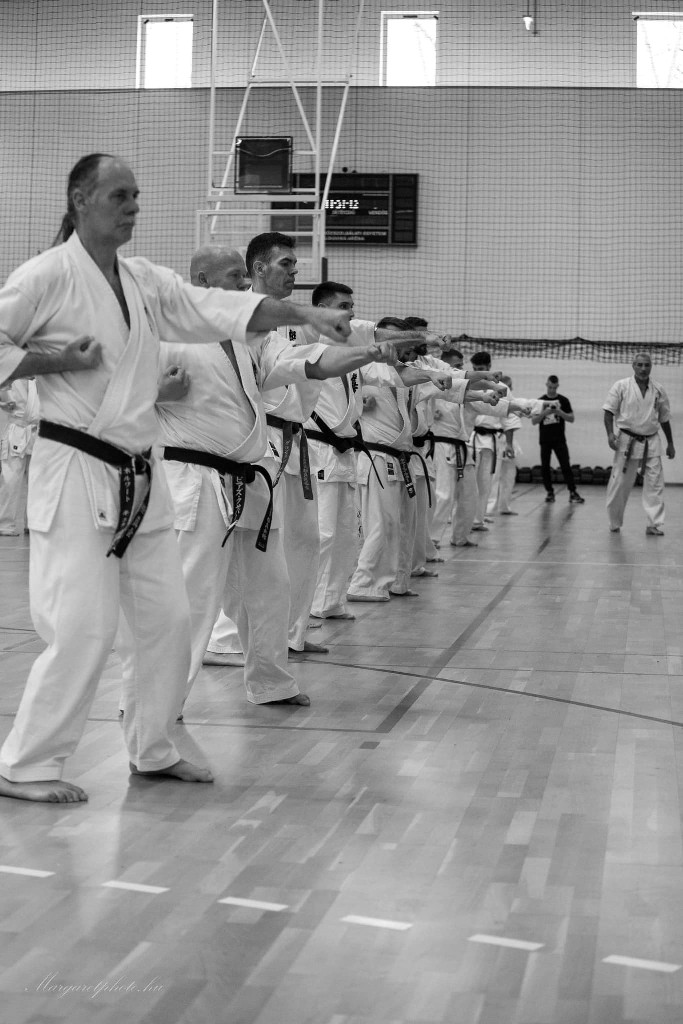 Shihan Sergei Vsevolodov Szeminárium