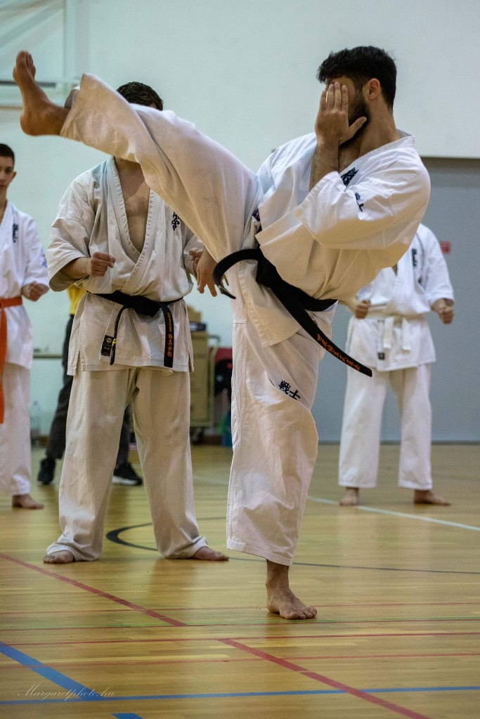 Shihan Sergei Vsevolodov Szeminárium