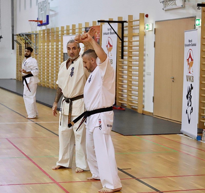 Shihan Sergei Vsevolodov Szeminárium