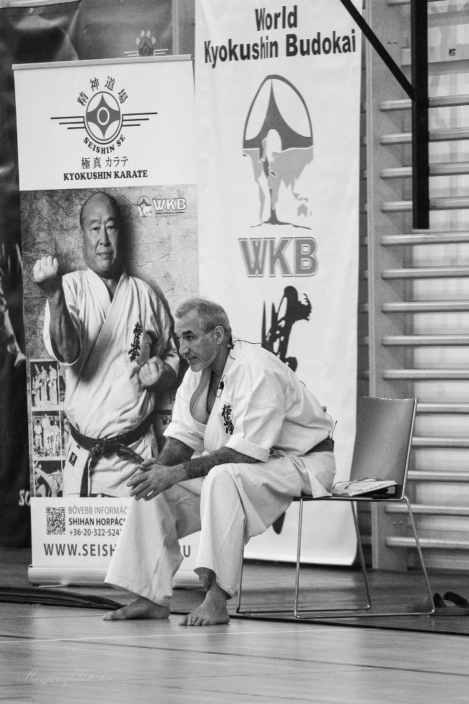 Shihan Sergei Vsevolodov Szeminárium