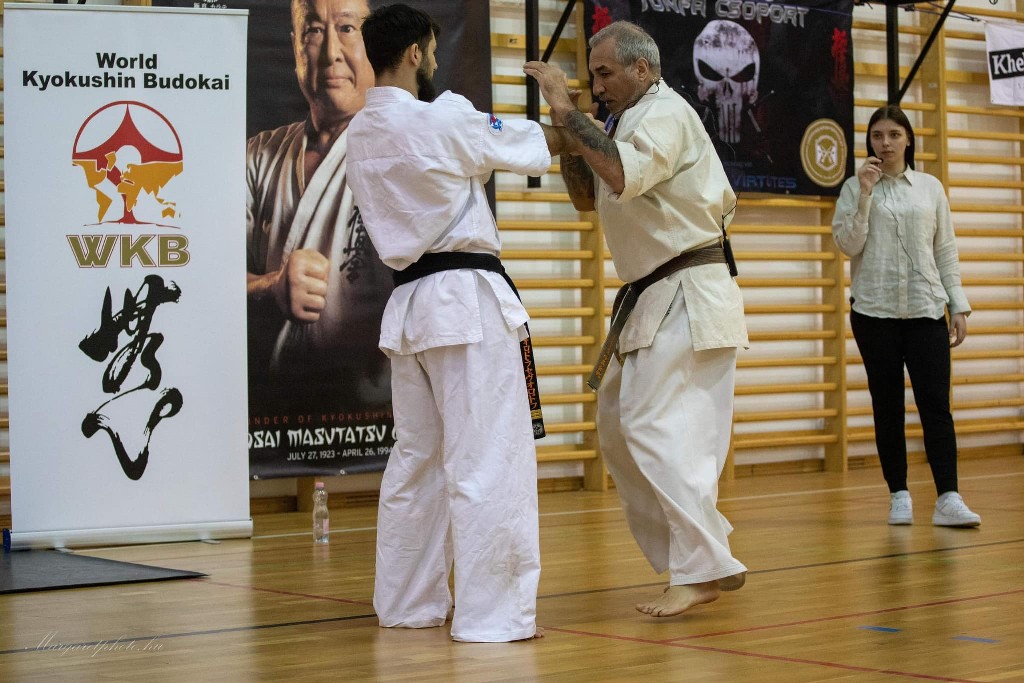 Shihan Sergei Vsevolodov Szeminárium