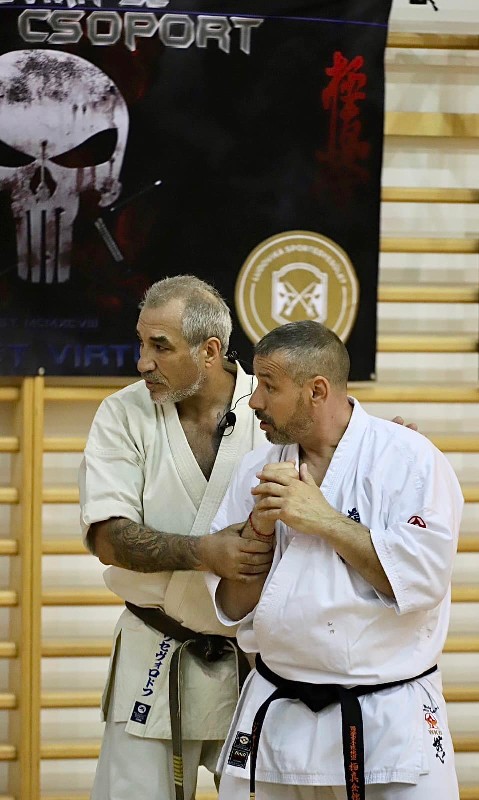 Shihan Sergei Vsevolodov Szeminárium