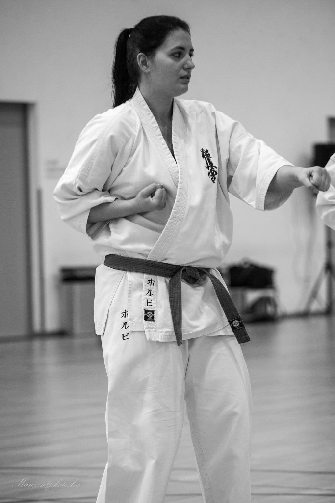 Shihan Sergei Vsevolodov Szeminárium