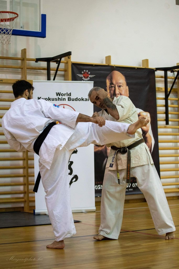 Shihan Sergei Vsevolodov Szeminárium