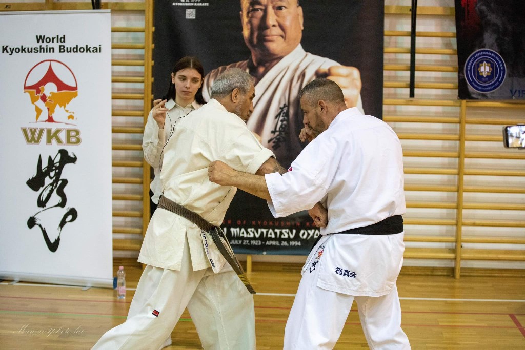 Shihan Sergei Vsevolodov Szeminárium