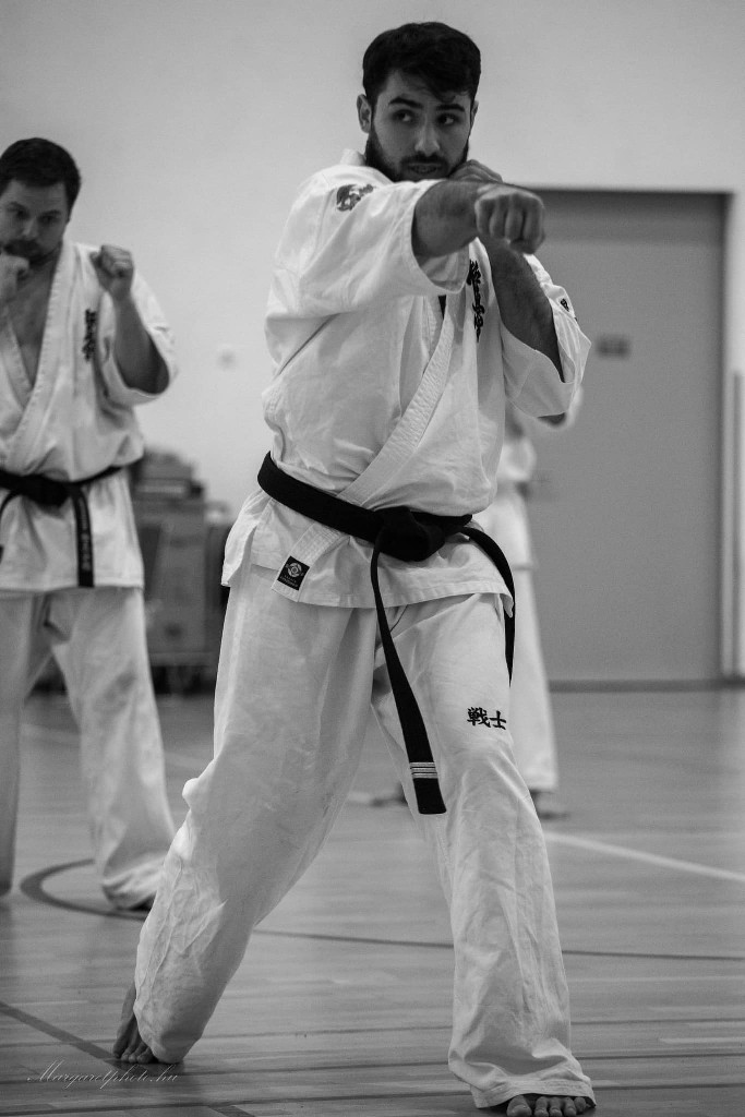 Shihan Sergei Vsevolodov Szeminárium