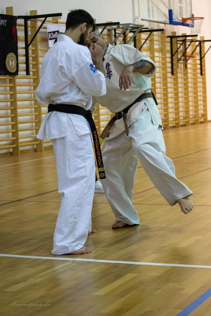 Shihan Sergei Vsevolodov Szeminárium