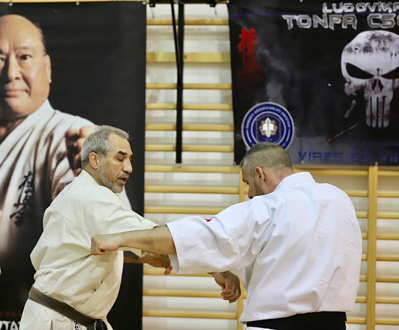 Shihan Sergei Vsevolodov Szeminárium