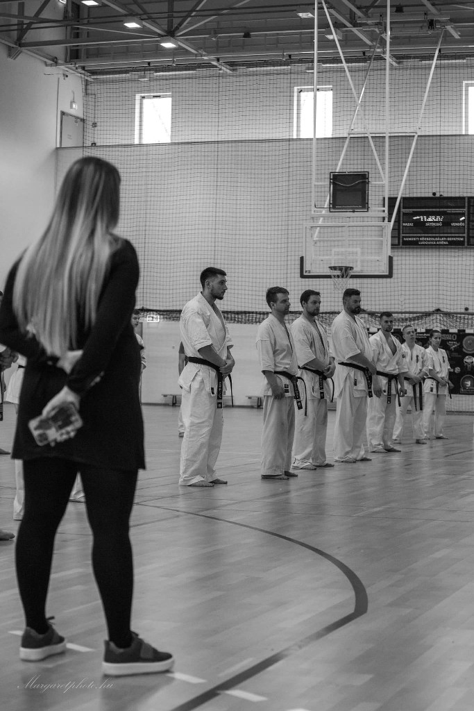 Shihan Sergei Vsevolodov Szeminárium