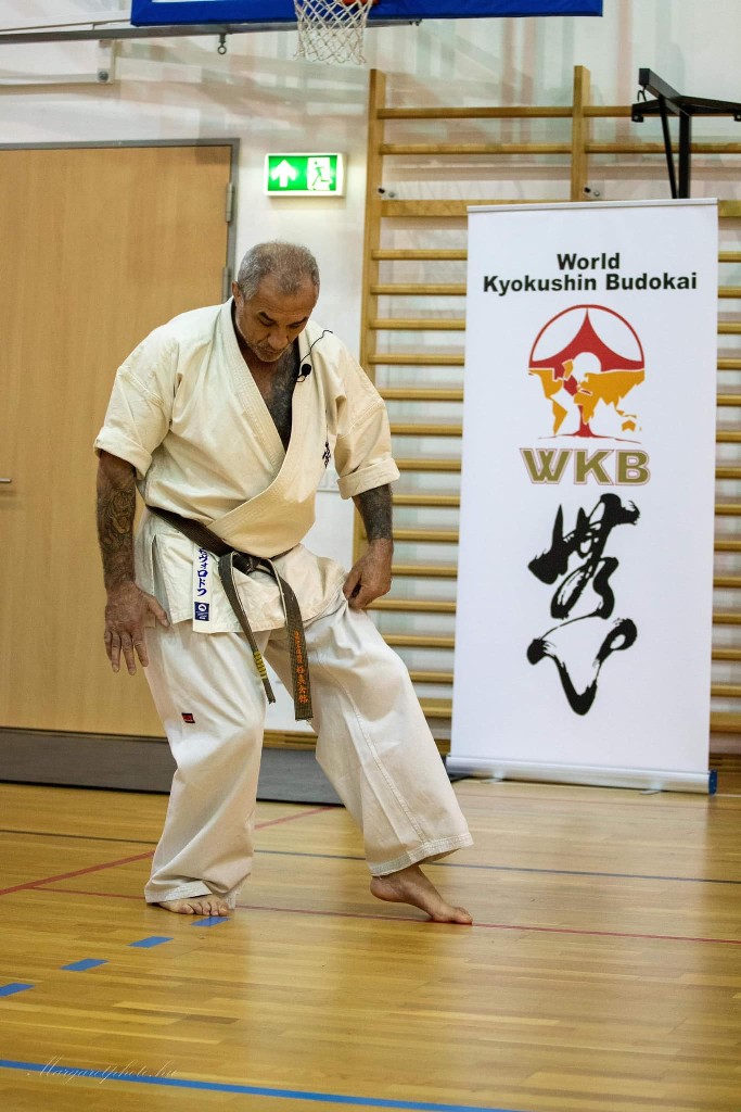Shihan Sergei Vsevolodov Szeminárium