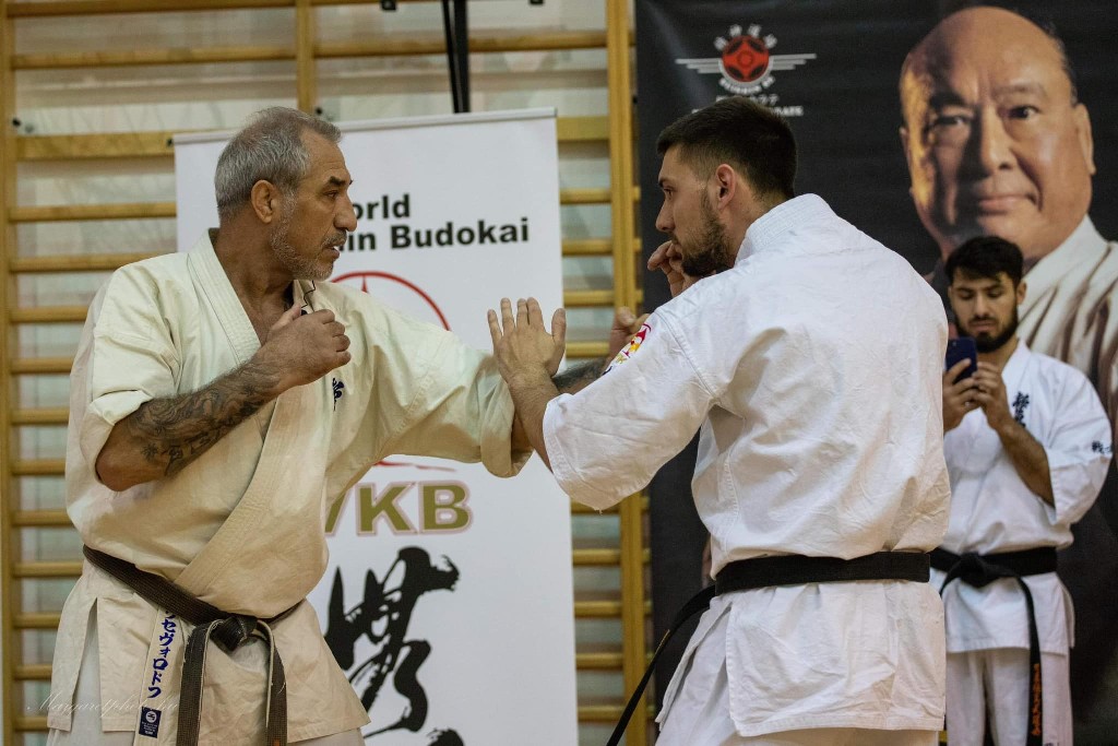 Shihan Sergei Vsevolodov Szeminárium