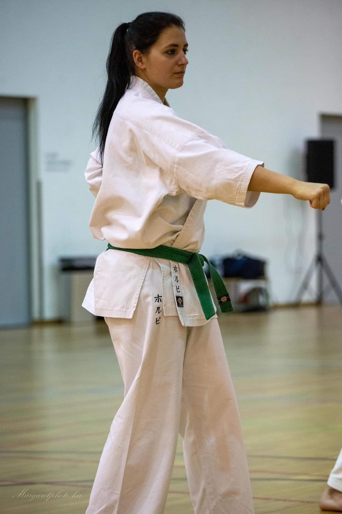 Shihan Sergei Vsevolodov Szeminárium