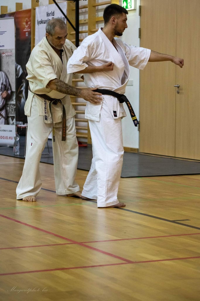 Shihan Sergei Vsevolodov Szeminárium