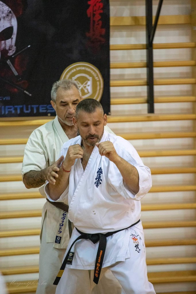 Shihan Sergei Vsevolodov Szeminárium