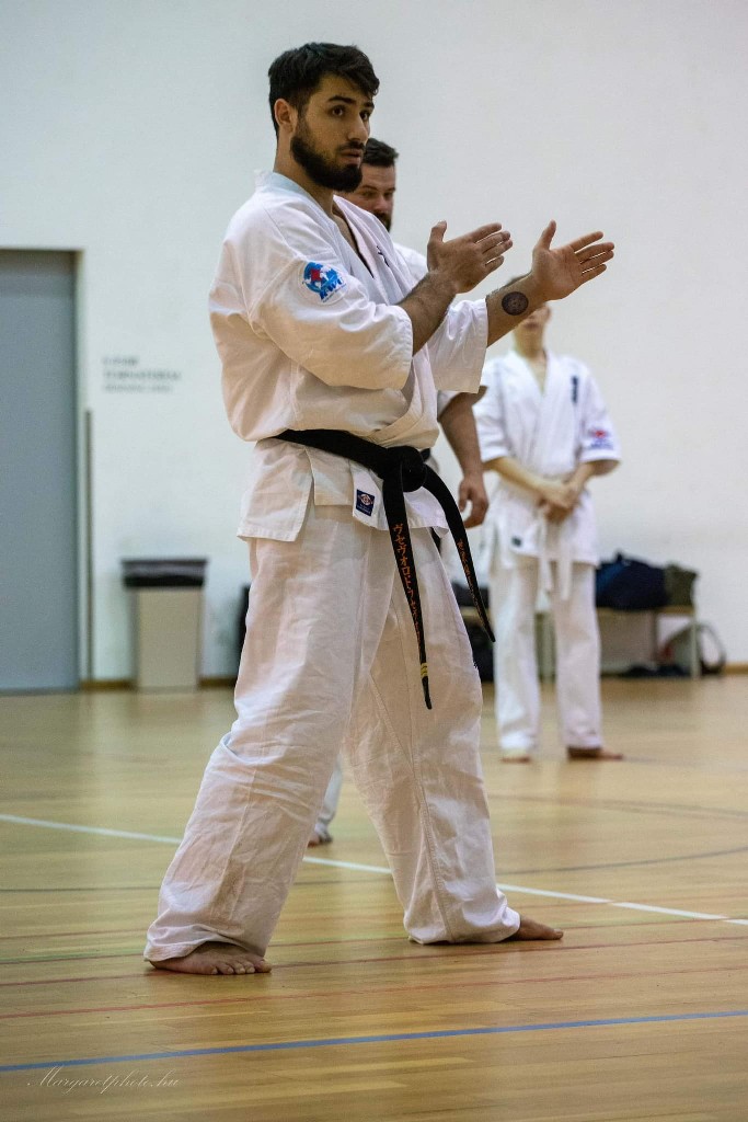 Shihan Sergei Vsevolodov Szeminárium
