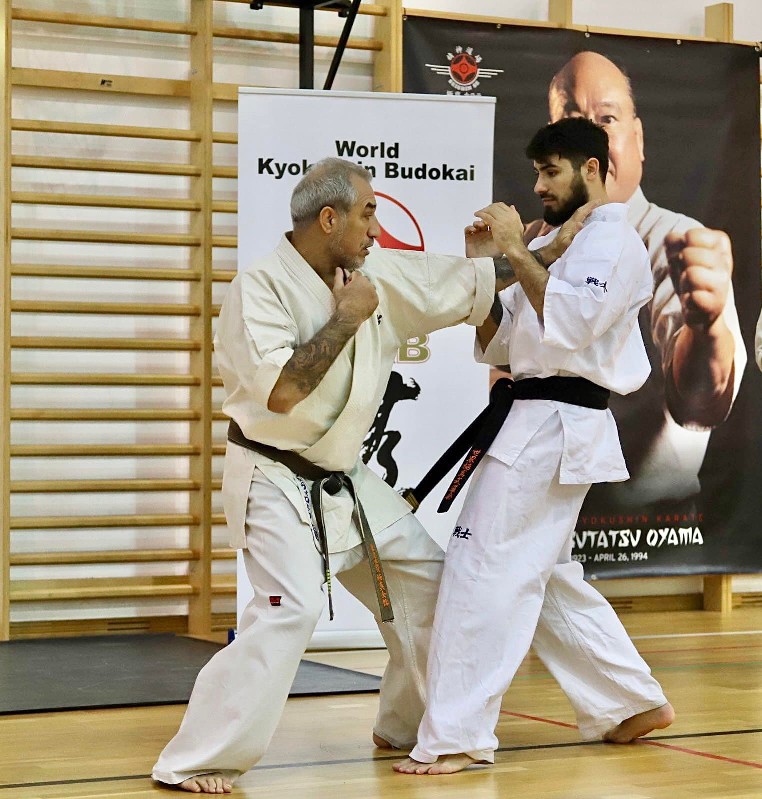 Shihan Sergei Vsevolodov Szeminárium