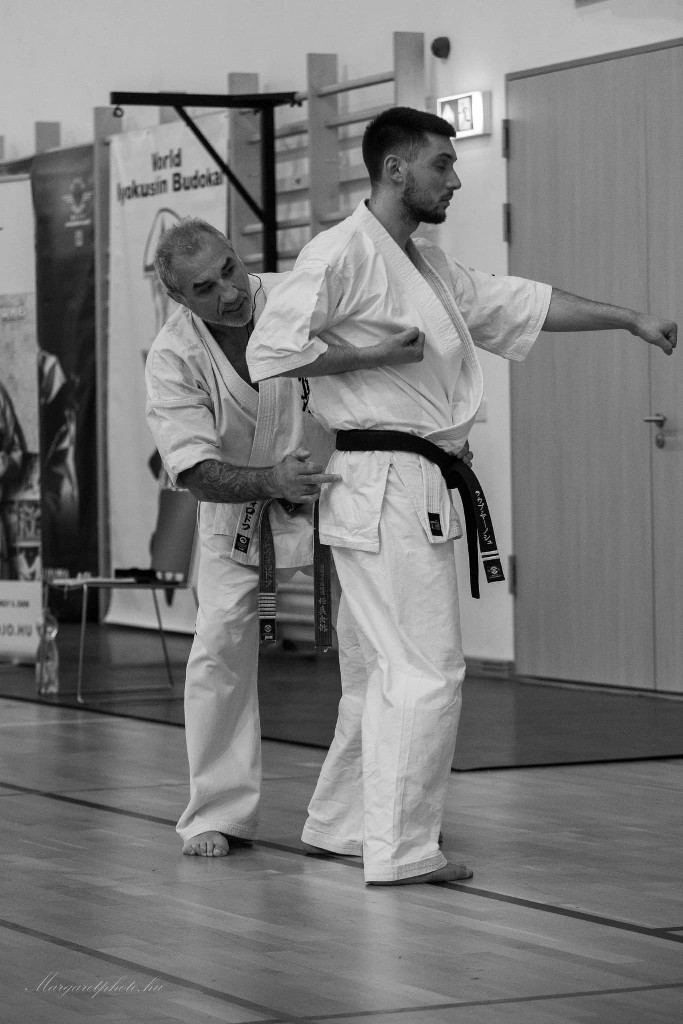 Shihan Sergei Vsevolodov Szeminárium