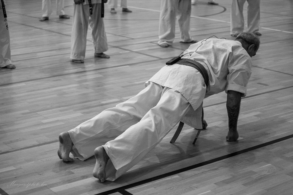 Shihan Sergei Vsevolodov Szeminárium