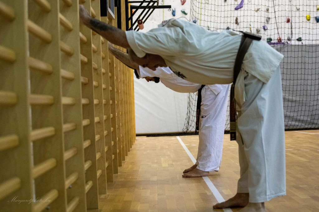 Shihan Sergei Vsevolodov Szeminárium